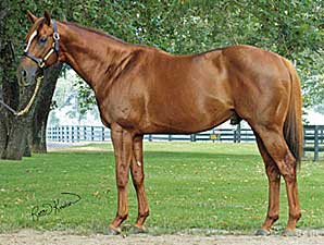 Grade II Winner Jackpot's First Winner Grade II Winner Jackpot's First Winner