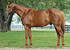 Grade II Winner Jackpot's First Winner