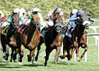 National Institute for Occupational Safety and Health Studies Jockeys National Institute for Occupational Safety and Health Studies Jockeys