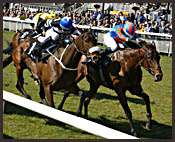 Johannesburg Upset By Filly in Gladness Stakes Johannesburg Upset By Filly in Gladness Stakes