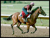 O'Brien Horses Prepare for Derby at Keeneland O'Brien Horses Prepare for Derby at Keeneland