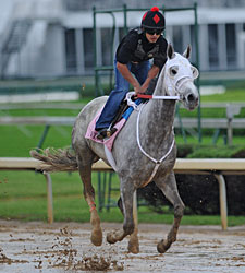 Baker's Dozen Set for Kentucky Oaks Baker's Dozen Set for Kentucky Oaks