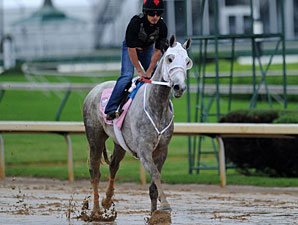 Joyful Victory Favored in Deep Oaks Field Joyful Victory Favored in Deep Oaks Field