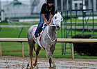 Joyful Victory Favored in Deep Oaks Field