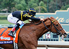 Judy the Beauty Wins Female Sprinter Eclipse Judy the Beauty Wins Female Sprinter Eclipse