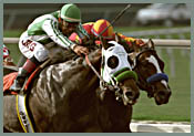 Baffert Horses 1-2 in Best Pal Stakes Baffert Horses 1-2 in Best Pal Stakes