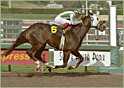 Kafwain Completes Louisiana Derby Preparations Kafwain Completes Louisiana Derby Preparations
