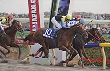 Kane Hekili Takes Japan Cup Dirt by a Nose; Americans Beaten Kane Hekili Takes Japan Cup Dirt by a Nose; Americans Beaten