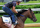 2011 Ky Oaks - Predict the Order of Finish