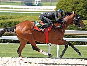Pinhookers Face Challenge at Keeneland Pinhookers Face Challenge at Keeneland
