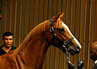 Lunsford Buys Out Sikura in A.P. Indy Filly