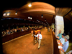 Keeneland Select Sessions 'Surprisingly Good' Keeneland Select Sessions 'Surprisingly Good'