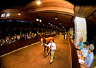 Keeneland Select Sessions 'Surprisingly Good' Keeneland Select Sessions 'Surprisingly Good'