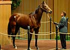 'Palais ' Sells for $625,000 'Palais ' Sells for $625,000