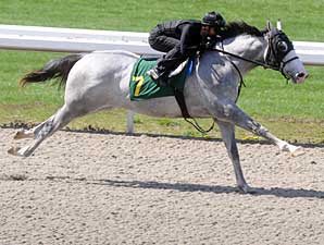 Major Changes Announced for 2YO Sales Major Changes Announced for 2YO Sales