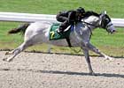 Major Changes Announced for 2YO Sales Major Changes Announced for 2YO Sales
