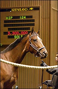 Pulpit Colt Brings Record Price at Keeneland Sale; Numbers Rise Pulpit Colt Brings Record Price at Keeneland Sale; Numbers Rise