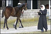 Keeneland January Sale Opens Five-Day Run Monday Keeneland January Sale Opens Five-Day Run Monday