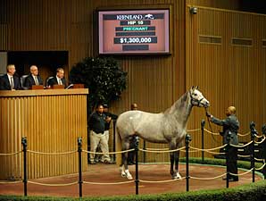 Diamond Necklace Sells for $1.3 Million Diamond Necklace Sells for $1.3 Million
