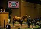 Shadow Cast Sells for $2.3 Million