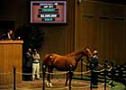 Dam of Eight Belles Brings $2.5 Million Dam of Eight Belles Brings $2.5 Million