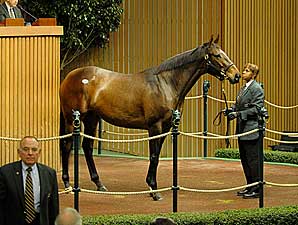 Lady Joanne Goes for $1.25 Million Lady Joanne Goes for $1.25 Million
