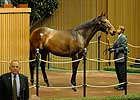 Lady Joanne Goes for $1.25 Million Lady Joanne Goes for $1.25 Million