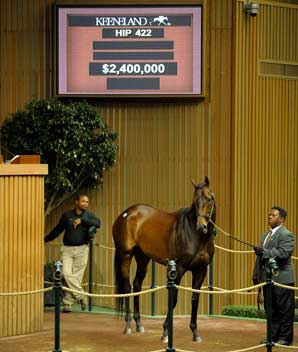 Mushka Sells for $2.4 Million Mushka Sells for $2.4 Million