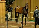 Mushka Sells for $2.4 Million