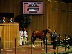 Keeneland November Sale Slumps at Start Keeneland November Sale Slumps at Start