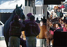 Keeneland Sale Ends With Fourth-Highest Gross in History Keeneland Sale Ends With Fourth-Highest Gross in History