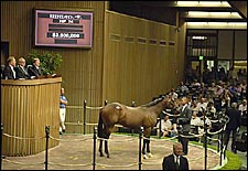 Day One: Keeneland Sale Gets Quick Start Out of the Gate Day One: Keeneland Sale Gets Quick Start Out of the Gate