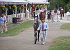 Keeneland to Offer 2YO Steroid Testing