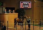 Seven-Figure Filly Highlights Day Four