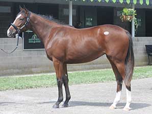Keeneland Day One: A Playful Start Keeneland Day One: A Playful Start