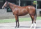 Keeneland Day One: A Playful Start