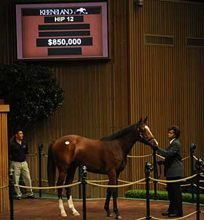 Keeneland September Sale Slumps at Start Keeneland September Sale Slumps at Start