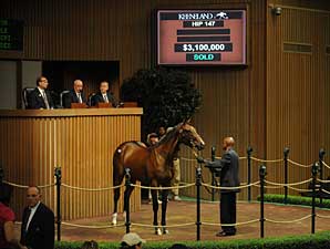 A.P. Indy Filly Brings $3.1 Million A.P. Indy Filly Brings $3.1 Million