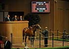 A.P. Indy Emerges as Leading Day 1 Sire A.P. Indy Emerges as Leading Day 1 Sire