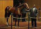 A.P. Indy Filly Brings $1 Million
