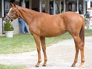 Keeneland Day Two Is For Big Brown Fans Keeneland Day Two Is For Big Brown Fans