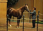 Keeneland Third Session Numbers Solid