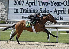Polytrack Produces Fast Times at Keeneland Under Tack Show Polytrack Produces Fast Times at Keeneland Under Tack Show