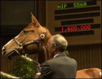 Lisa+troutt+winstar+farms