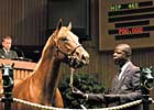 Keeneland Reduces RNA Commission Keeneland Reduces RNA Commission
