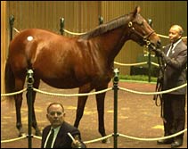 Seven Figure Purchases Continue at Keeneland Seven Figure Purchases Continue at Keeneland