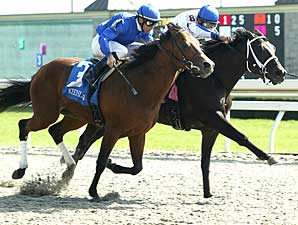 Keep Laughing May Be Preakness Bound Keep Laughing May Be Preakness Bound