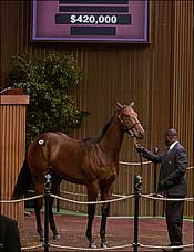 Keeneland Sale on Record Pace After Strong Sixth Session Keeneland Sale on Record Pace After Strong Sixth Session