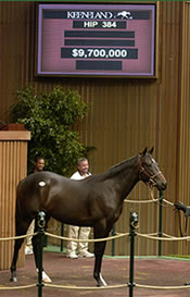 Numbers Soar as Storm Cat, Maktoums Dominate Keeneland Sale Numbers Soar as Storm Cat, Maktoums Dominate Keeneland Sale