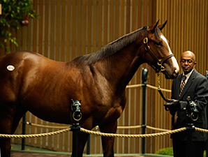 A.P. Indy-Balance Colt Brings $4.2 Million A.P. Indy-Balance Colt Brings $4.2 Million